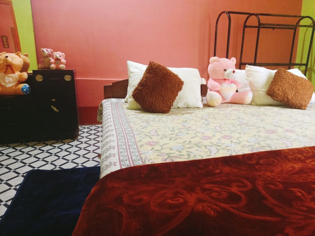 Clean and cozy room in homestay Tezpur